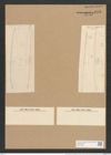 Nitzschia fluminensis var. subundulata Grun. (de-Toni-Nr.: Genus 47, Species 2079) Zeichnungen Sammlung Grunow Nr. 4118 (NHMW-BOT-W0371985)